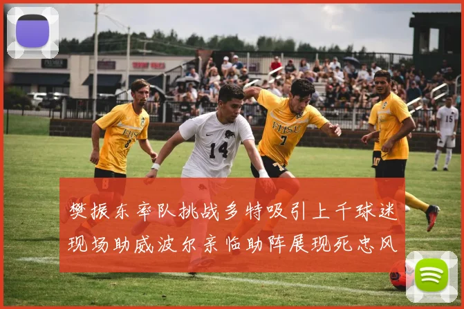 樊振东率队挑战多特吸引上千球迷现场助威波尔亲临助阵展现死忠风采